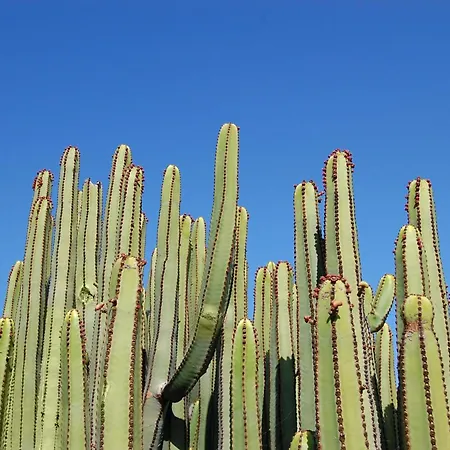 Salobre Golf Seis Luxury Retreat In Gran Canaria Private Heated Pool Exclusive Salobre Golf Minutes From Maspalomas Beaches Villa Las Palmas de Gran Canaria